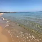 Ammari