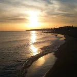 Ammari *
